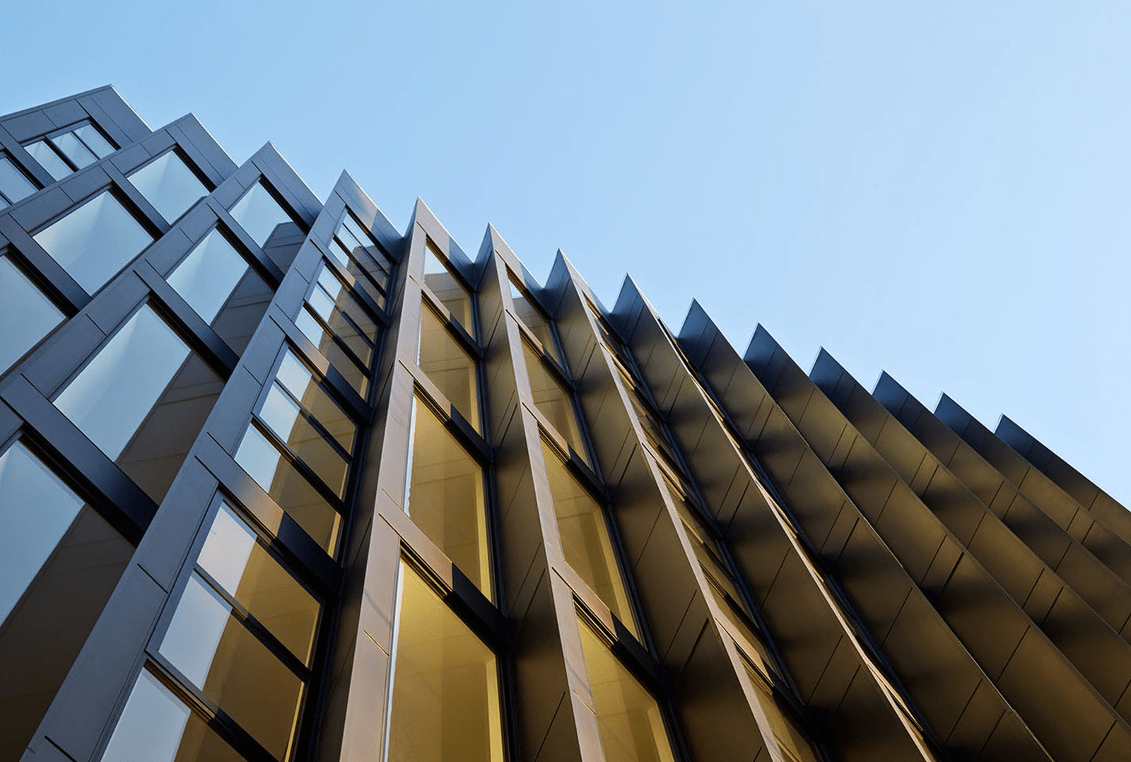 Dogpatch Contemporary